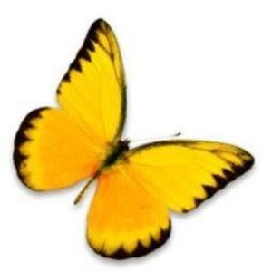 Meet your Posher, Karina